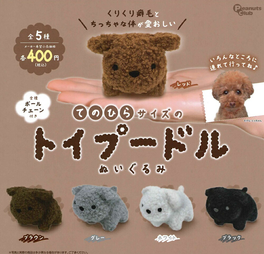 楽天市場】てのひらサイズのトイプードルぬいぐるみ 【全5種セット
