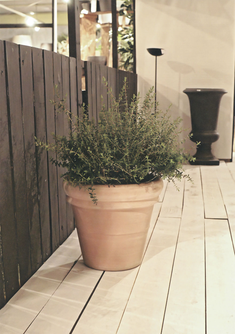 楽天市場】テラコッタ 植木鉢 大型 おしゃれ 人気 プランター おすすめ