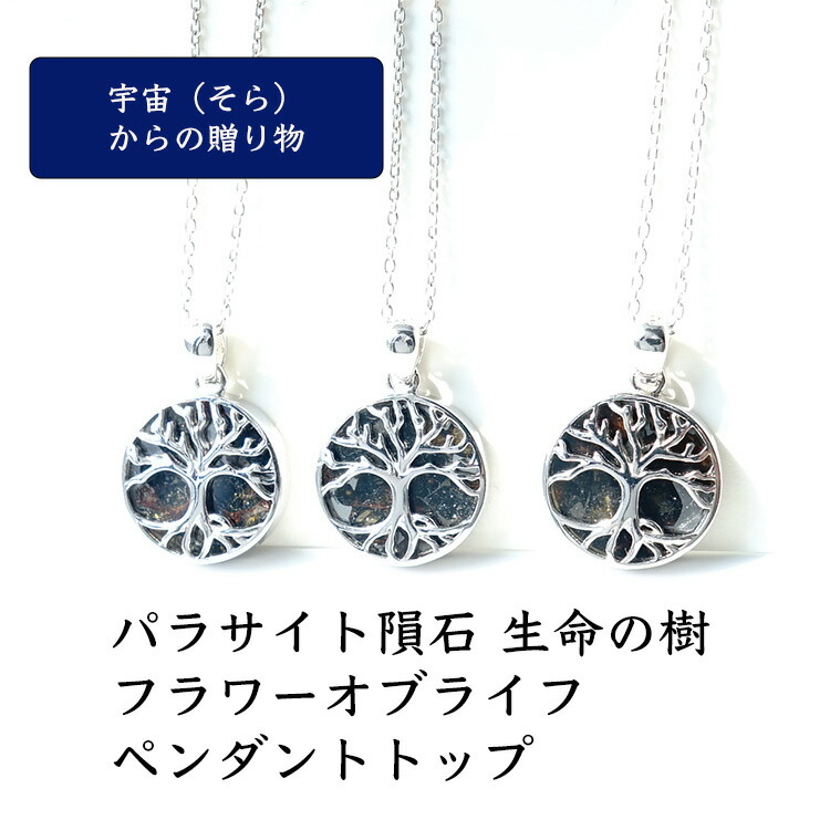 楽天市場】パラサイト隕石 ペンダント ネックレス パワーストーン