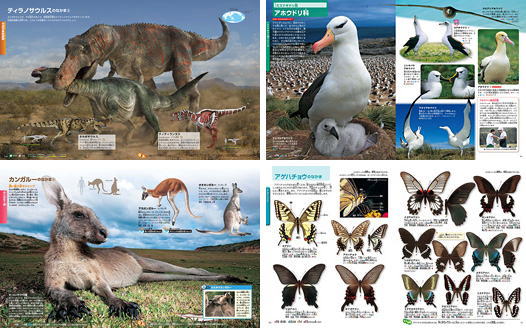 楽天市場】講談社の動く図鑑 MOVE（全巻DVDつき） セット 既13巻 : 脳