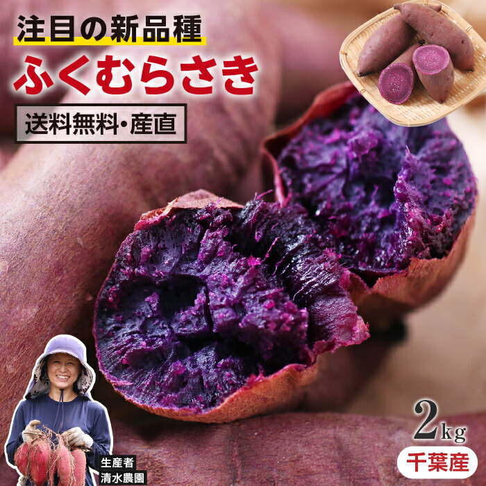 楽天市場】紫 つくね芋の通販