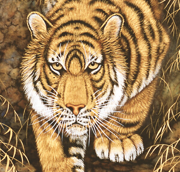 掛軸 猛虎愛児図 共箱 寅 親子 3-25 掛軸 猛虎愛児図 共箱 寅 親子 3-25