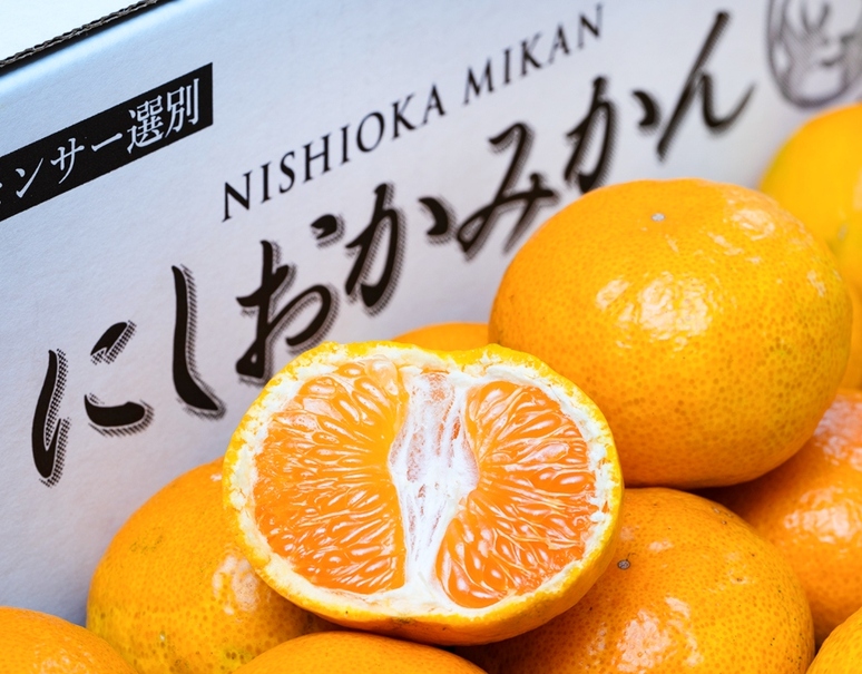 みかん様 みかん鮫様 みかん様 ミカン様 ミカン様 蜜柑様 レビュー】ZX