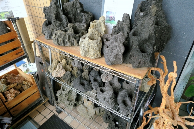 大型水槽用 雲山石も大量入荷 | アクアレビュー｜ADA正規代理店