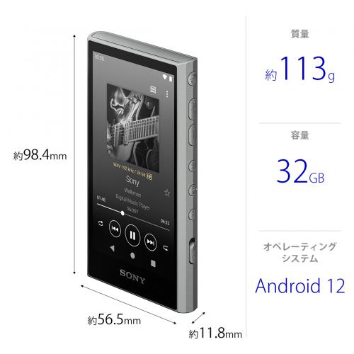 デンキチWeb / ソニー SONY ポータブルオーディオプレーヤー Walkman