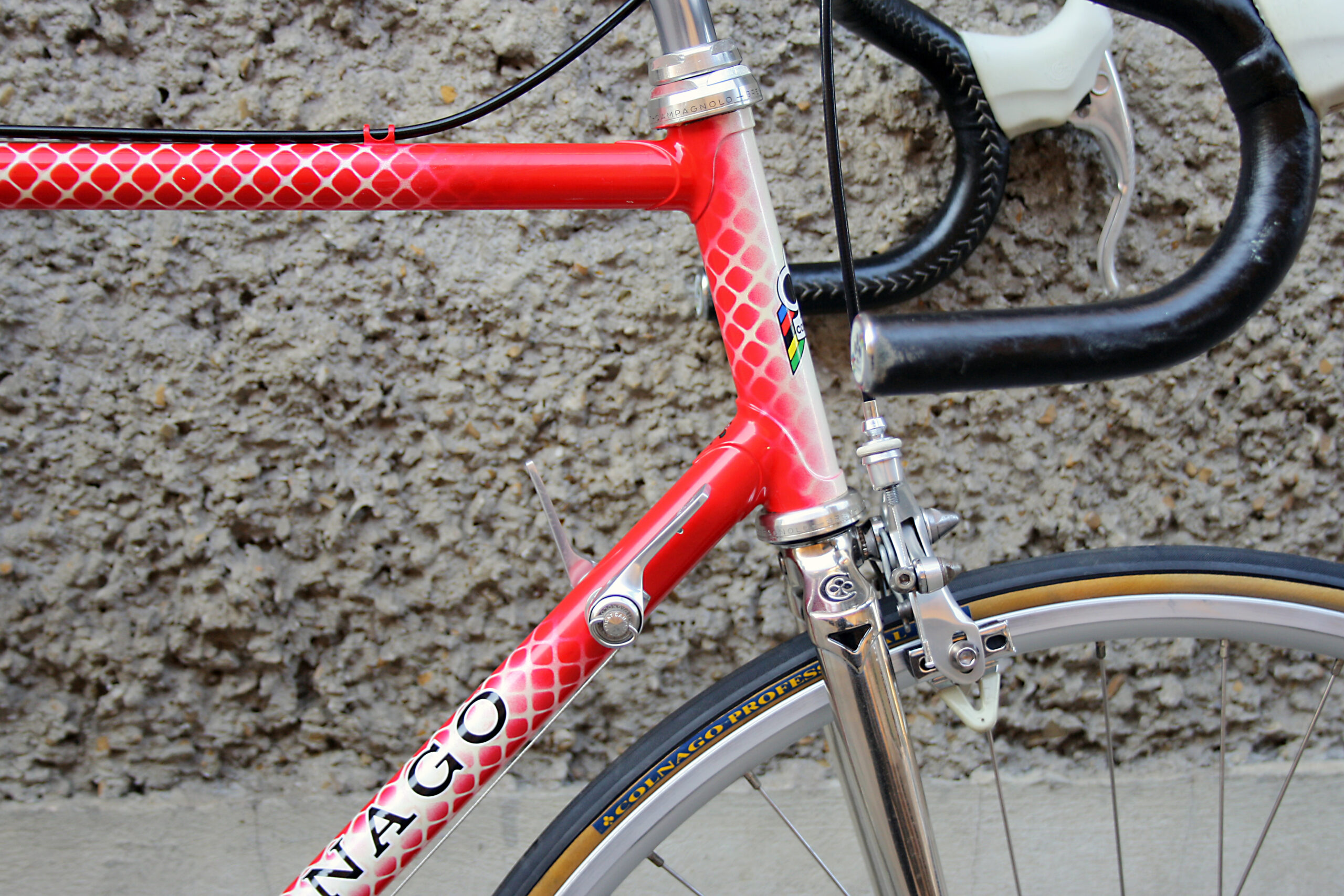Pinarello Treviso - Italian Steel Bike