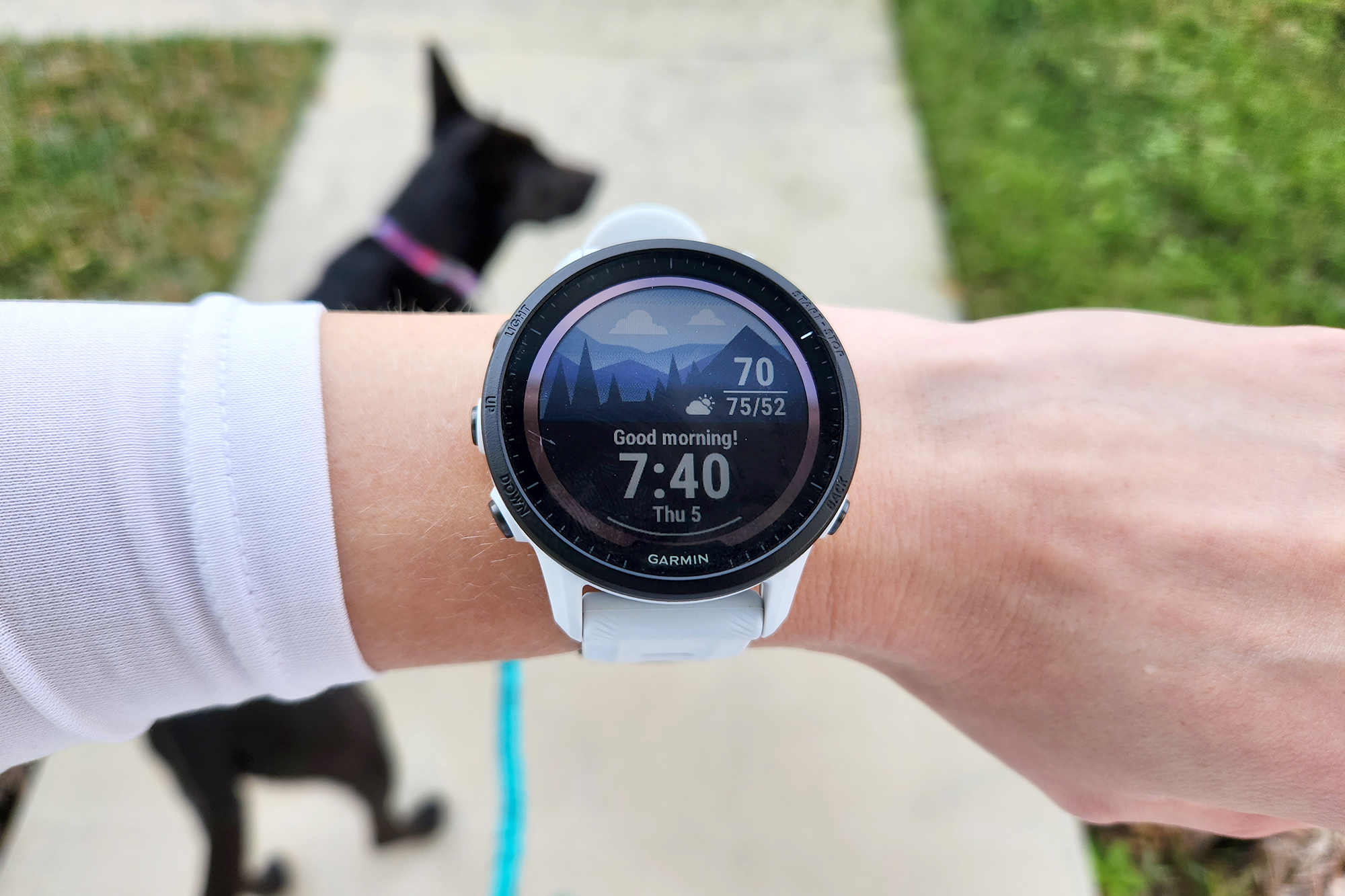 Garmin Forerunner 955 Solar running watch review: The power to