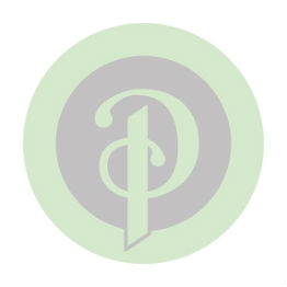 Schwalbe Pro One Tubeless [622] | 700 x 25c | Perennial Cycle