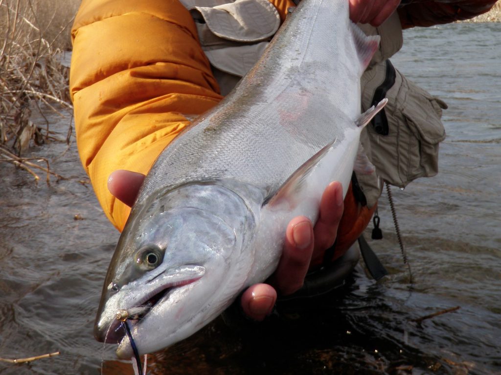 G・Loomis/FR 16078-4 RR DREDGER GLX 13ft4in #7/8｜アウトドアライフ