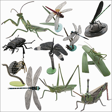 原色日本昆虫図鑑Ⅱ｜商品情報｜タカラトミーアーツ