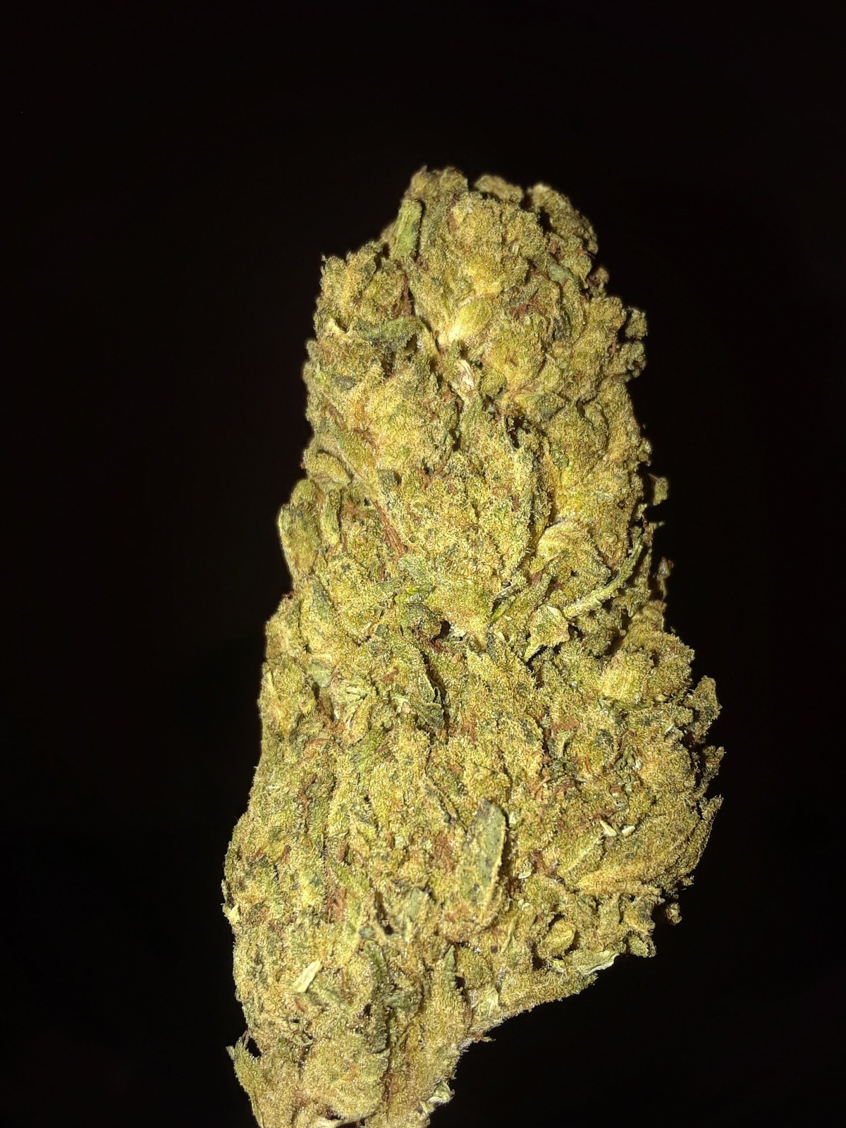 Tangie Marijuana Strain Information & Reviews | AllBud