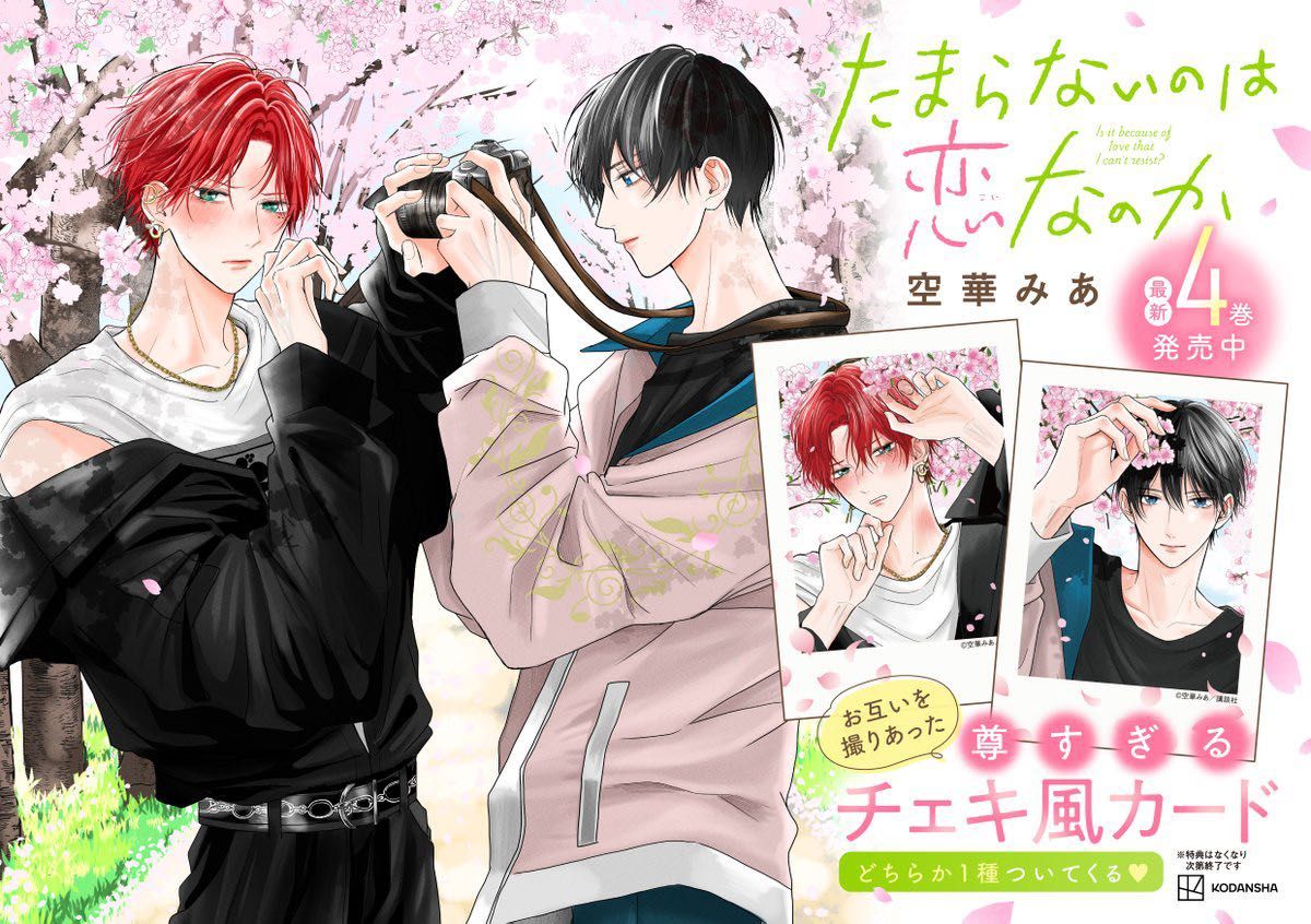 たまらないのは恋なのか たま恋 空華みあ TSUTAYA限定特典 チェキ風
