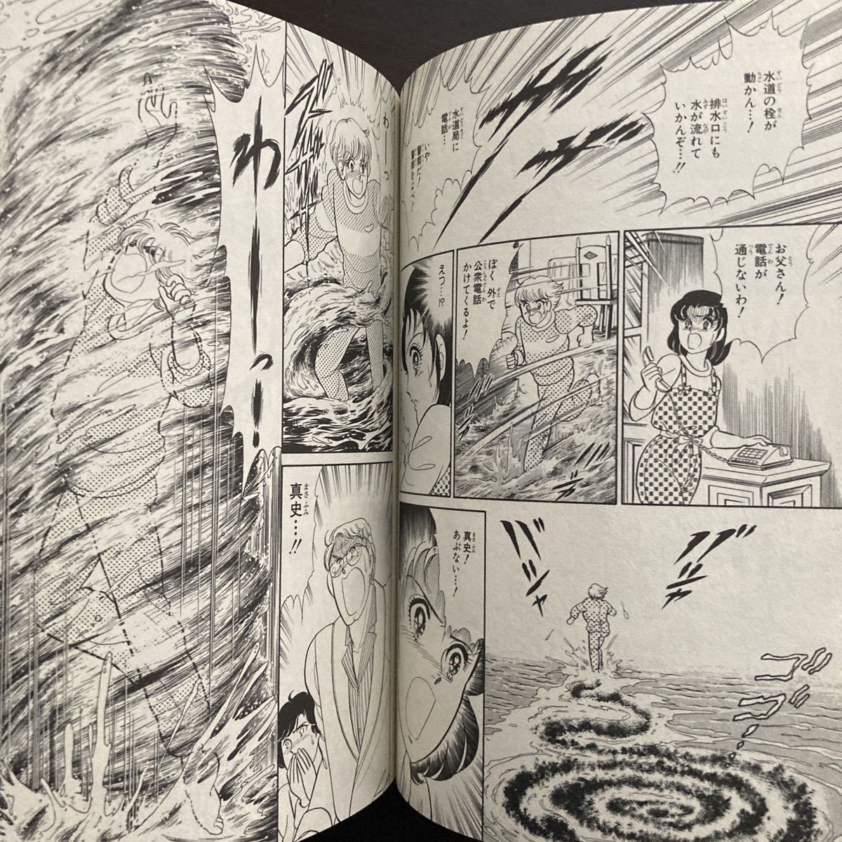 アマテラス 美内すずえ 花とゆめコミックススペシャル1巻2巻セット