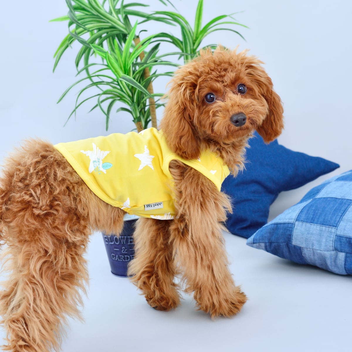 JE231 星柄タンクトップ (XS)〜(XL) | JEKYLL EGG | ジキルエッグ 公式