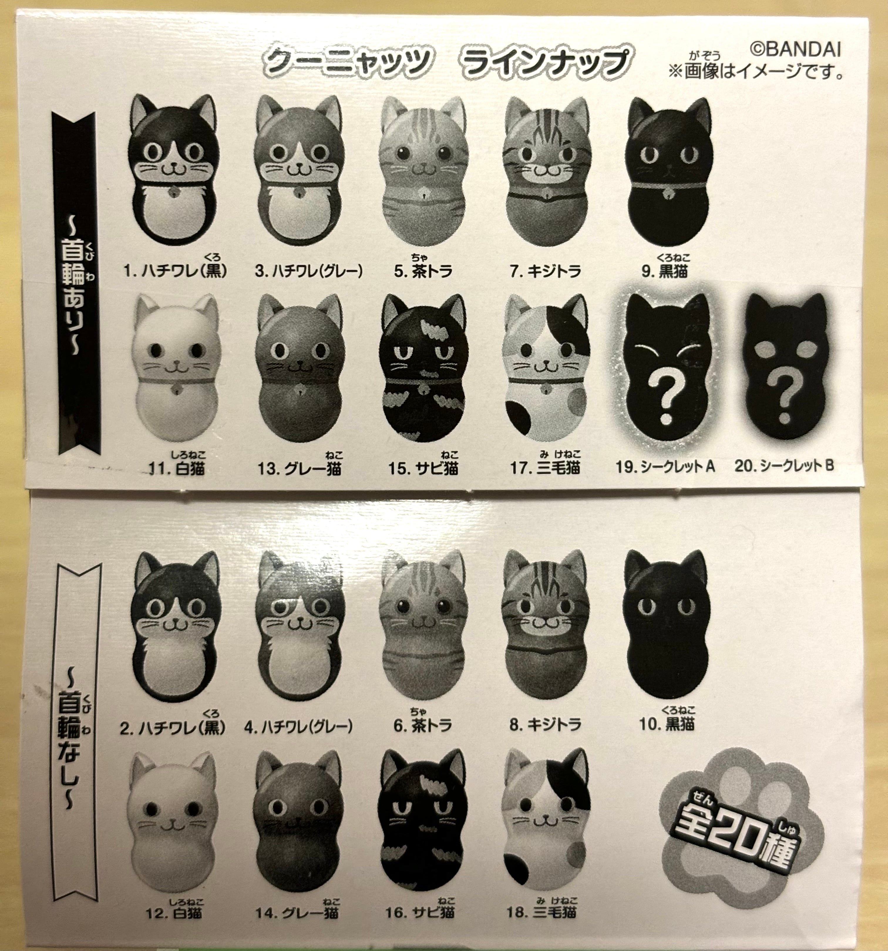 shiroさん専用出品 shiroさま専用 SHIRO ⚠️専用出品 しろちゃん専用