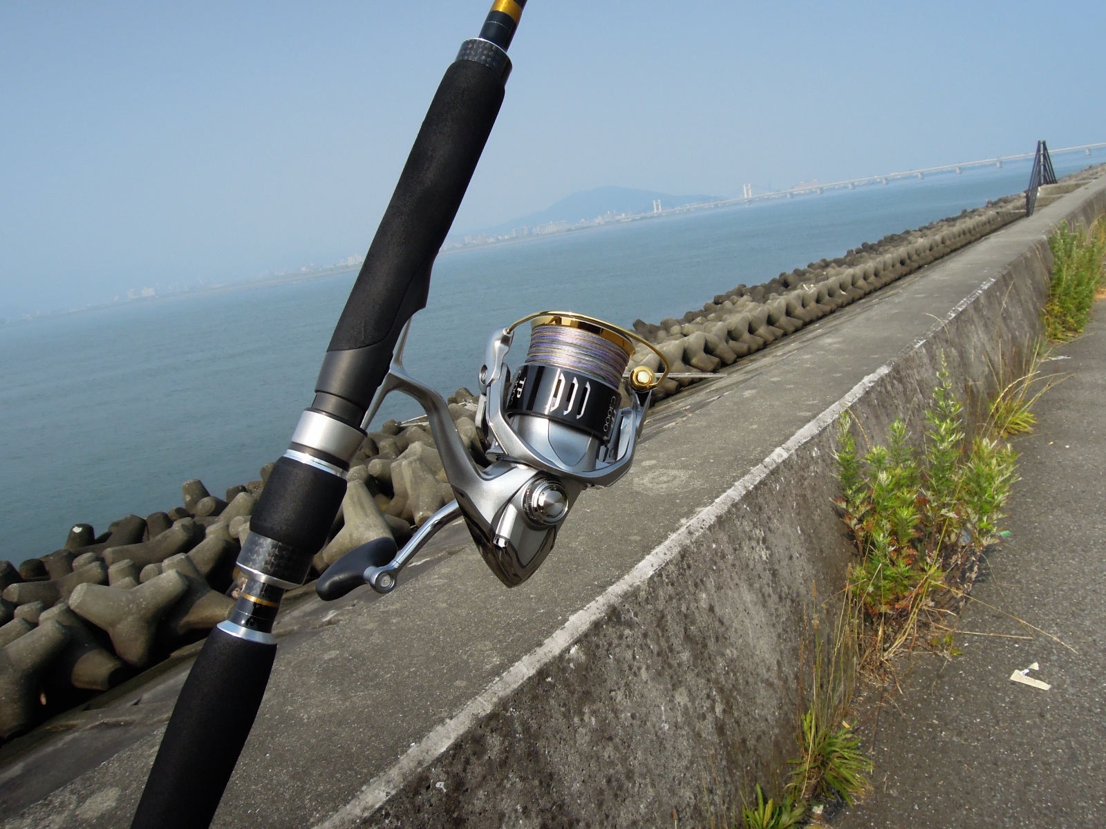 2本目に購入したシーバスロッドはダイコー クロスブリード