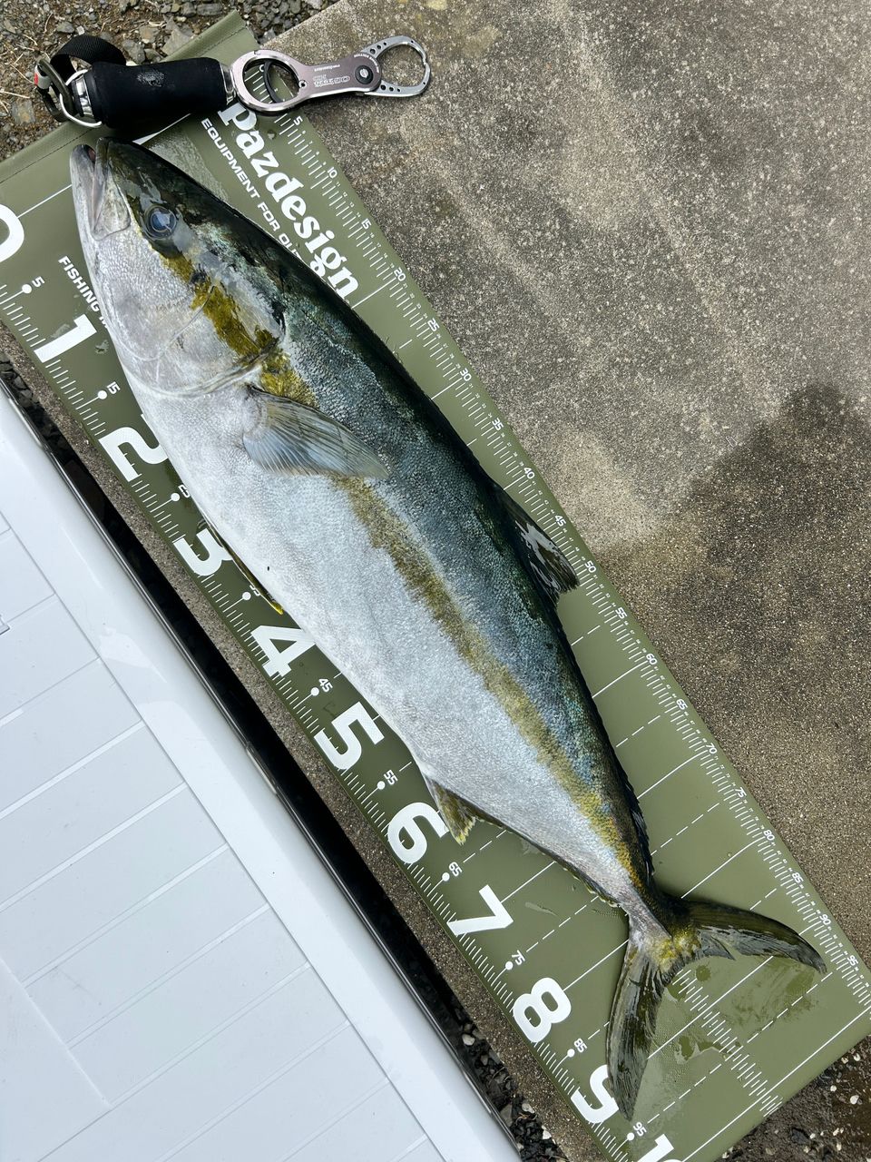 DAIWA 20ソルティガ 10000-Hの最安値・インプレ・釣果 | 本音の口コミ