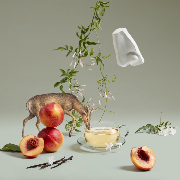 アルテミジア オードパルファム(30mL): ペンハリガン｜DEPACO 大丸