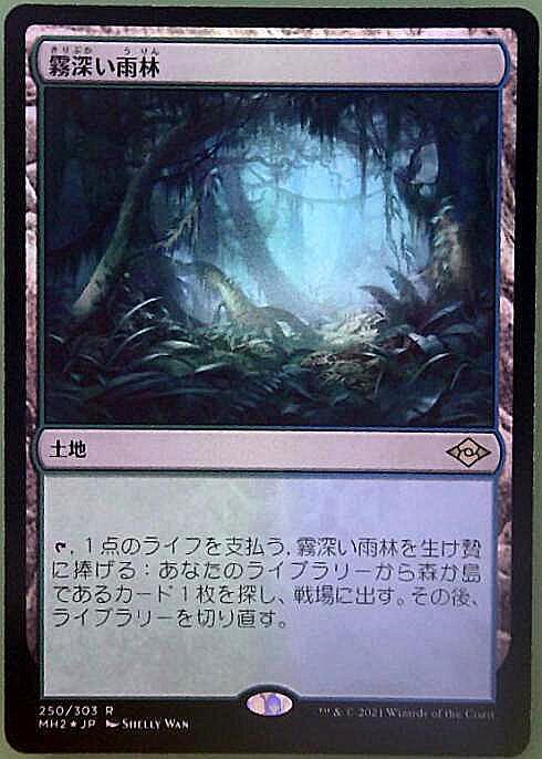 MtG 霧深い雨林 ZEN英語 サインド 1枚 MtG 霧深い雨林 ZEN英語