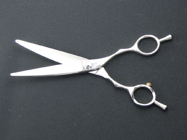 tyuuko-R-cut65-2.jpg?t=