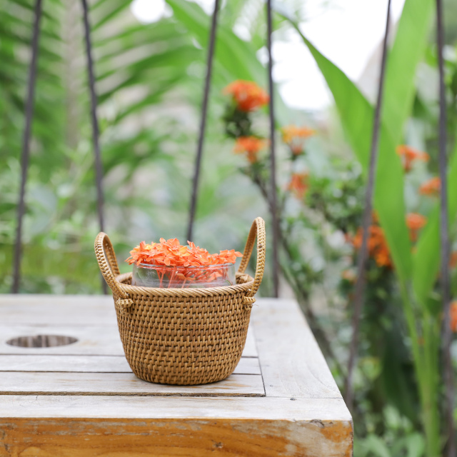 鉢カバーSSサイズ (OVL242) Rosily(ロージリー) バリ島 アタかご雑貨