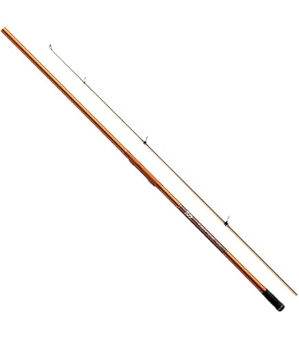 Amazon | ダイワ(DAIWA) スピニングリール(投げ・遠投) 19 キャスティ