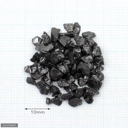 GEX ピュアブラック 8リットル ジェックス | チャーム