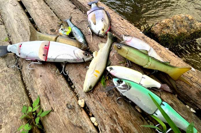 水中映像付き】ビッグベイトおすすめ10選！選び方や使い方を徹底解説