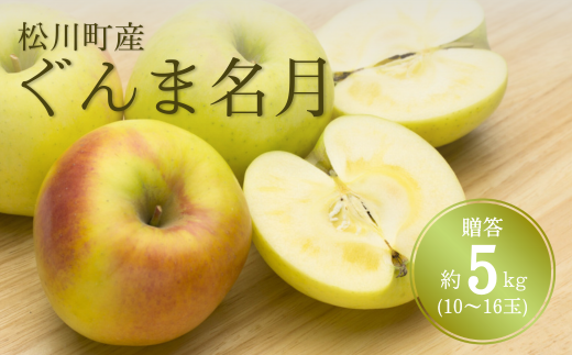 KR14-25A りんご ぐんま名月 贈答 約5kg（10～16玉） / 11月上旬頃