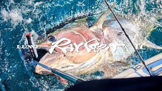 ラグゼ コヨーテ | がまかつ