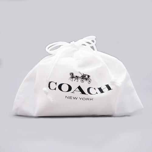 COACH（コーチ） スヌーピー バッグチャーム キーリング 新作 新品