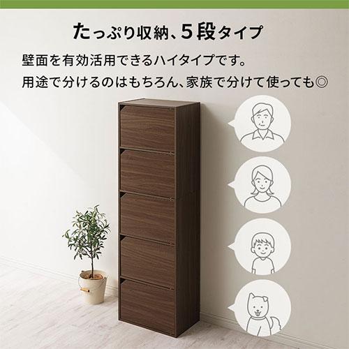 ぼん家具 カラーボックス 扉付き 5段ボックス 収納棚 本棚 おしゃれ 大