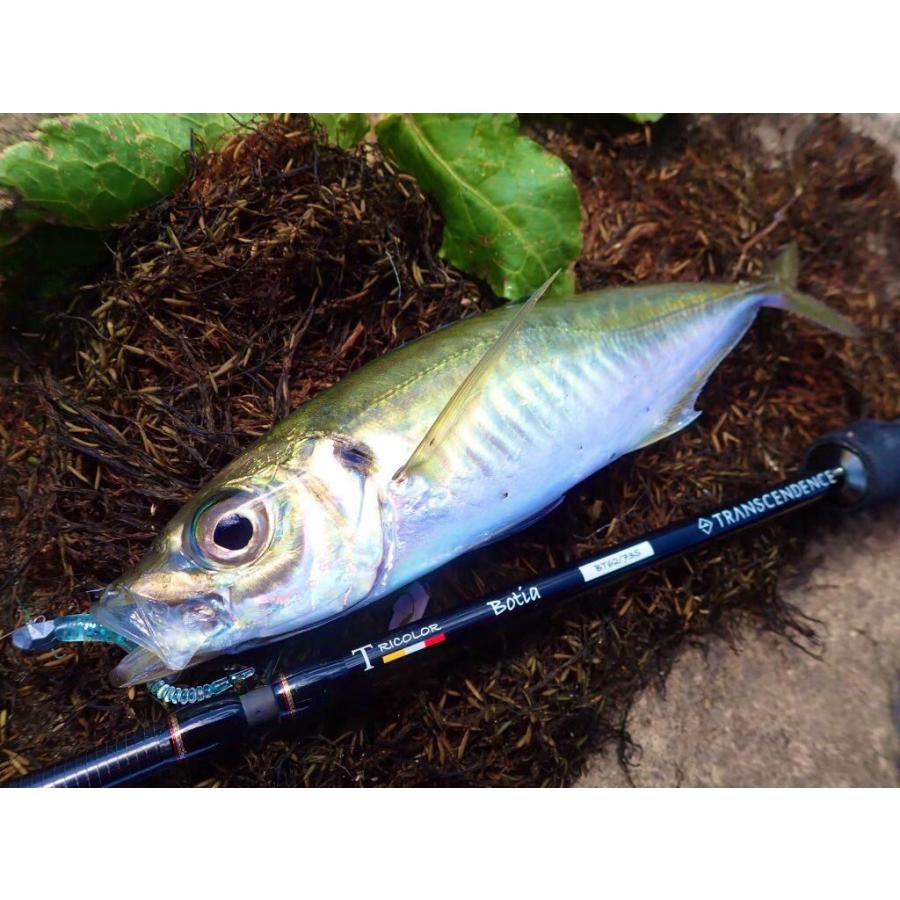 TRANSCENDENCE Botia ルアーロッド 専用ケース付き TRANSCENDENCE