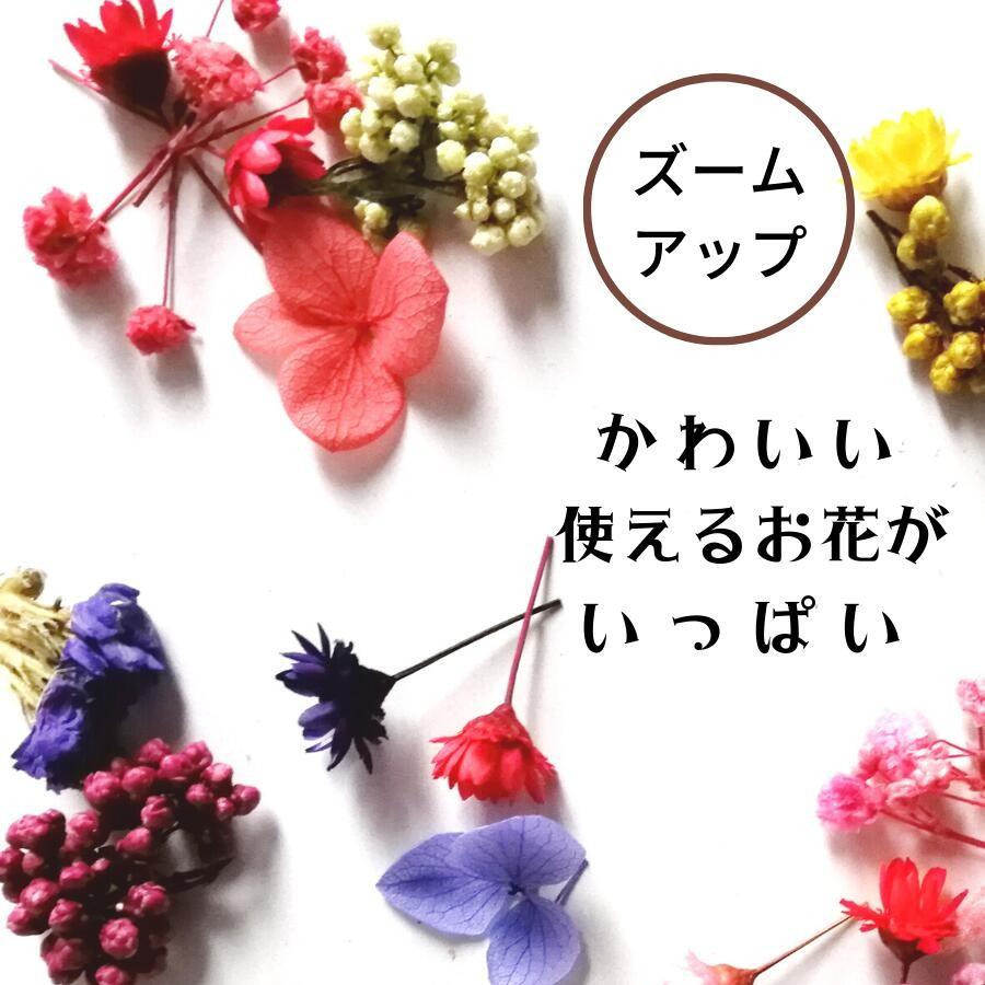 小花詰合せ 12個 ドライフラワー 花材 レジン 業務用 福袋 あじさい