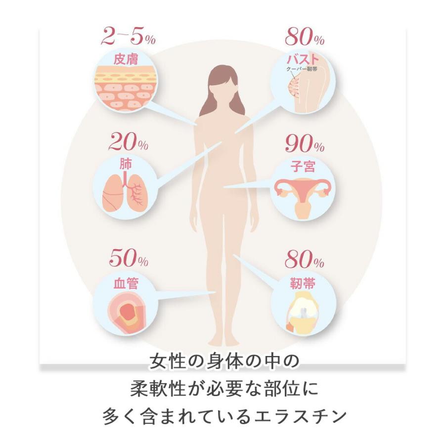 季令 KIREI e-クリーム 40g 高純度エラスチン配合 保湿 うるおい ハリ