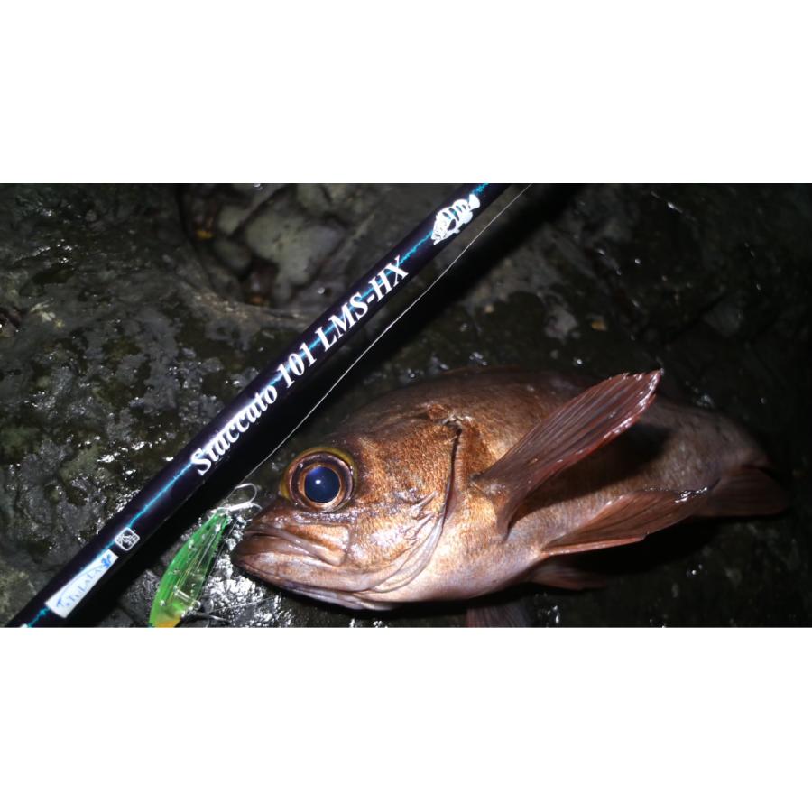 ツララハーモニクススタッカート101 LMS-HX