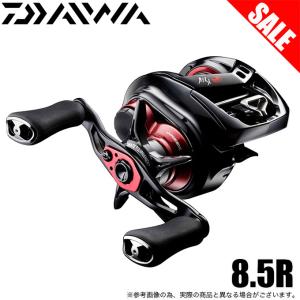 DAIWA（ダイワ） 26 スティーズ SV ライト TW 100XXHL 左ハンドル