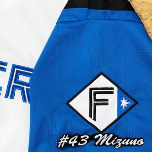 ☆送料無料☆北海道 日本ハム ファイターズ 日ハム 新庄剛志 応援歌 黒