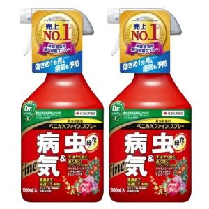 KINCHO園芸 ベニカXファインスプレー 1000ml チュウレンジハバチ
