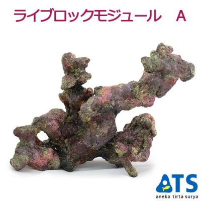 ライブロックのおすすめ人気商品一覧 通販 - Yahoo!ショッピング