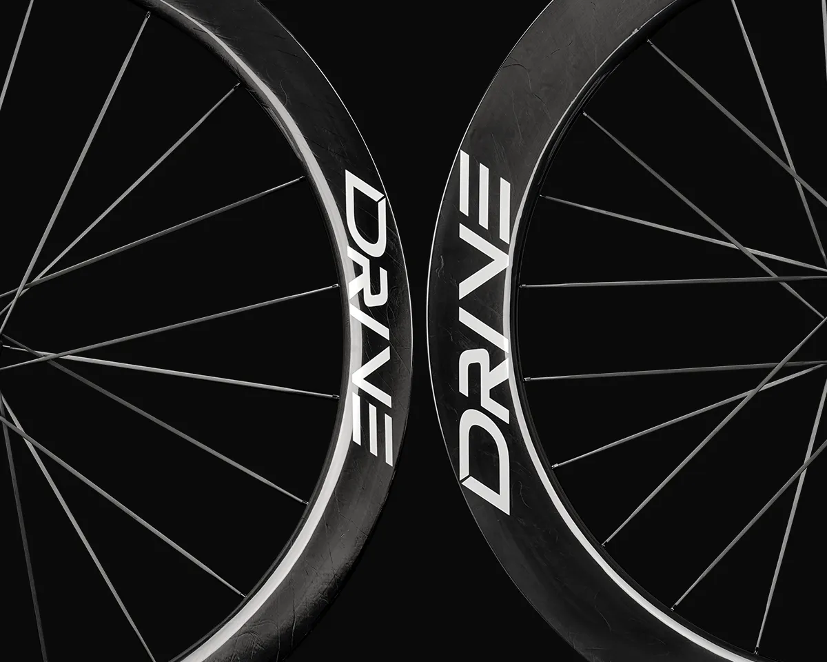 Fuji ALTERR ホイールセット ディスクブレーキ ポリッシュリム Fuji