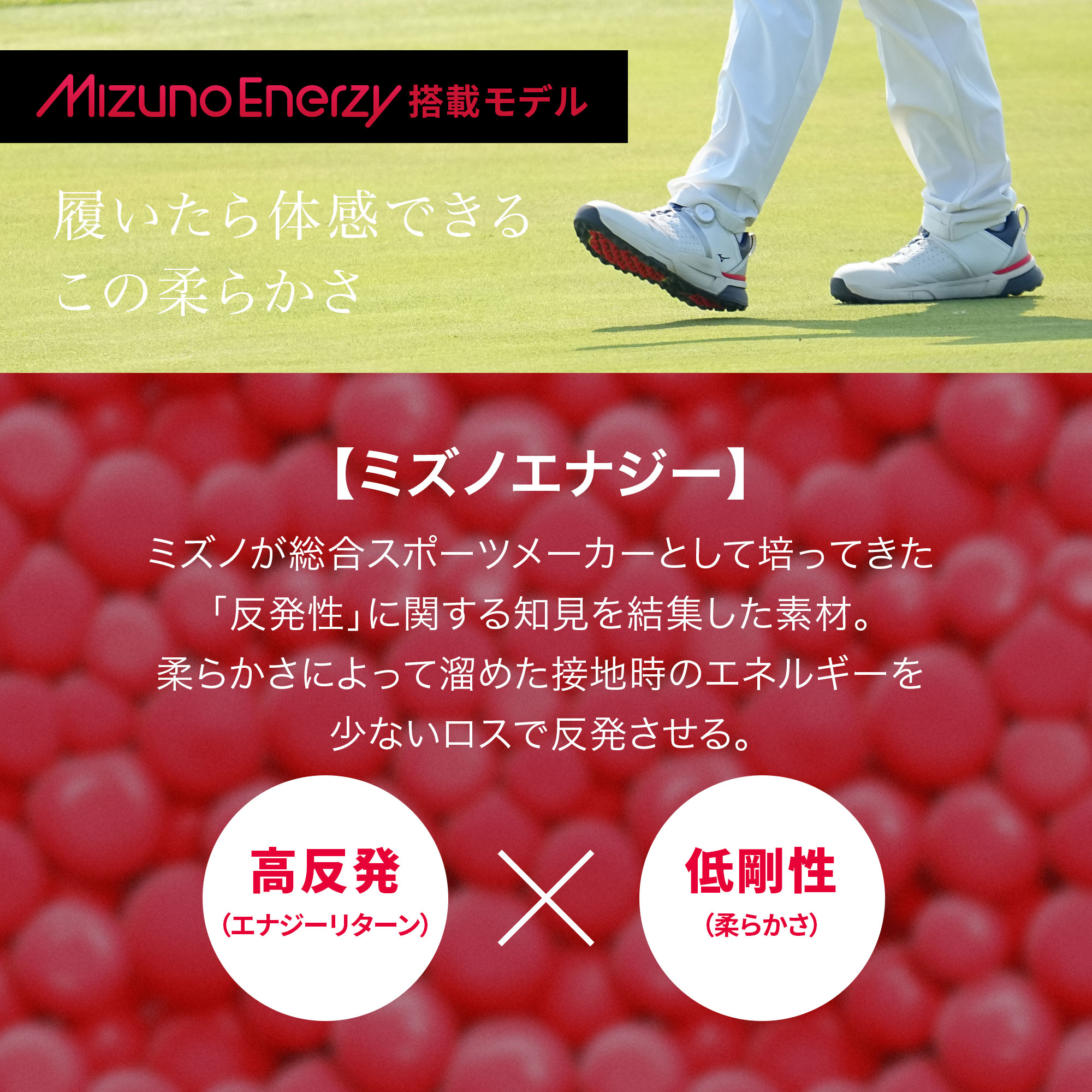 ハザードエナジー ボア(ゴルフ／防水)|51GQ2501|シューズ|ゴルフ