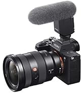 Amazon | SONY(ソニー) カメラ用バッテリー リチャージャブル