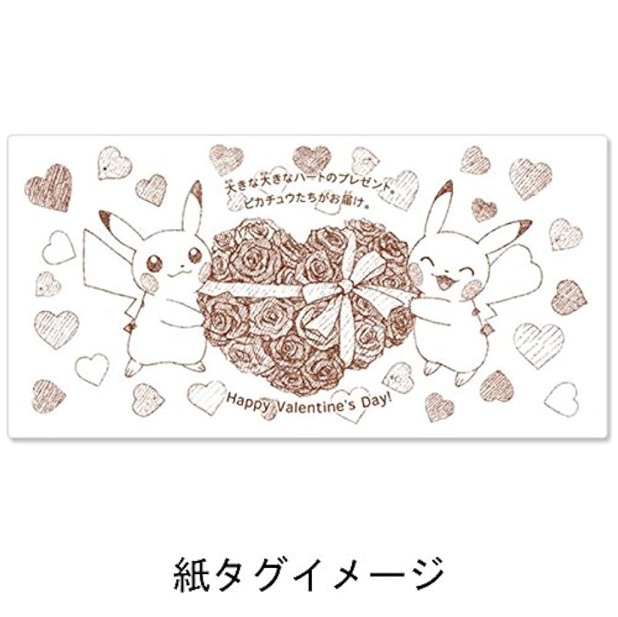 マンスリーペアピカチュウ 1月 まねきねこ ニャース ポケモンセンター