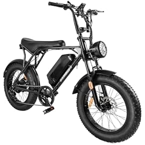 Amazon.co.jp: ファットバイク - 自転車本体: スポーツ＆アウトドア