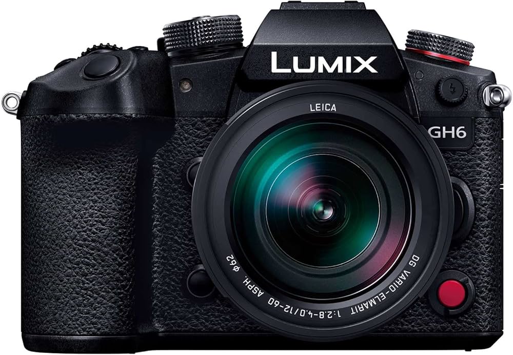 Amazon | パナソニック(Panasonic) ミラーレス一眼カメラ ルミックス