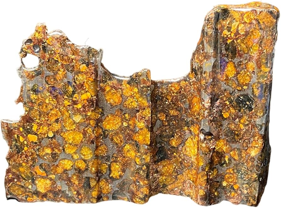 Amazon.co.jp: 【鑑別書付き】 パラサイト隕石 374g 男女兼用 隕石 石