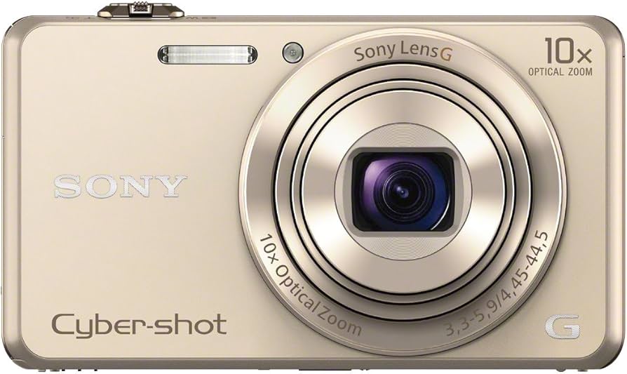 Sony DSC-WX220 Digitalkamera (18 Megapixel, 10-fach opt. Zoom, 6,8