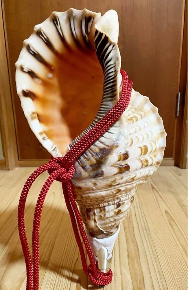 修験道法螺貝37㎝ 山伏 密教 魔除け 熊よけ❣️ほら貝 ホラガイ 【公式