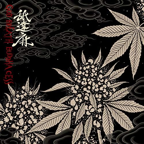 Amazon Musicで舐達麻のGODBREATH BUDDHACESS (THE RE-UP EDITION)を